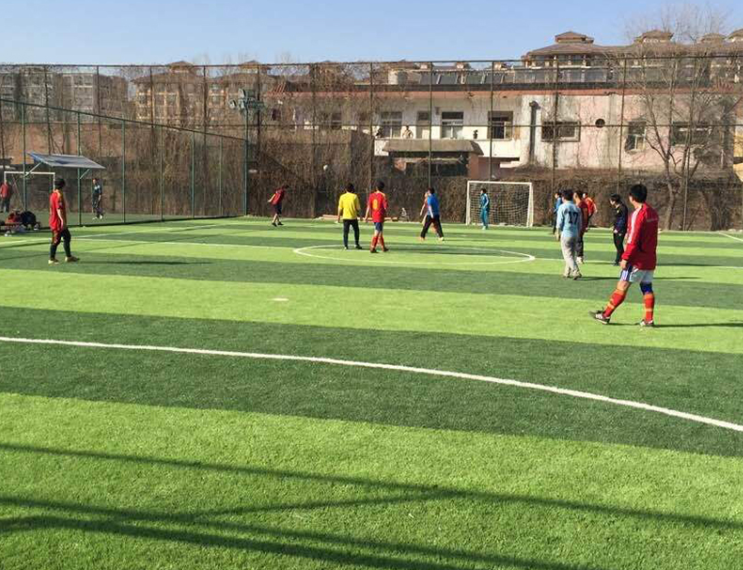 塑膠跑道材料 塑膠跑道材料