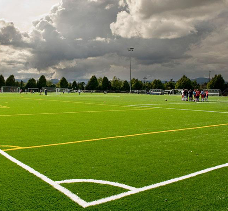 人造草坪廠家 人造草坪廠家