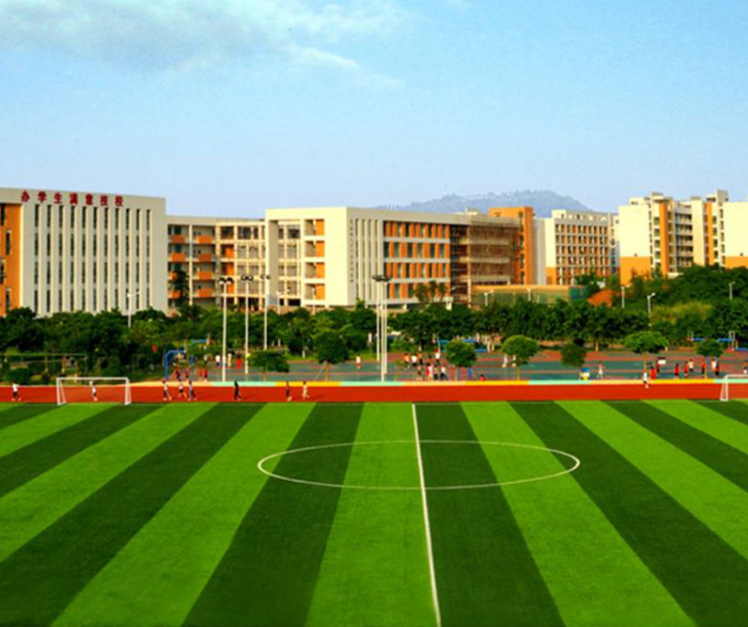 硅pu球場 硅pu球場